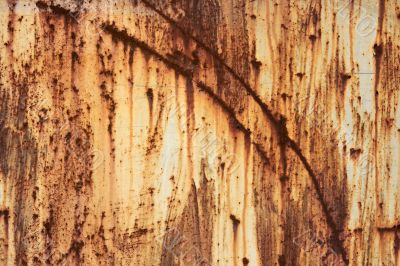 Rusty