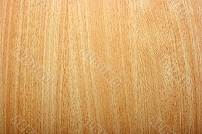 Wood Texture Wood Texture