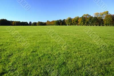 In the park