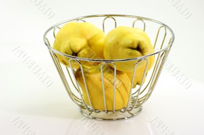 Quinces in Basket