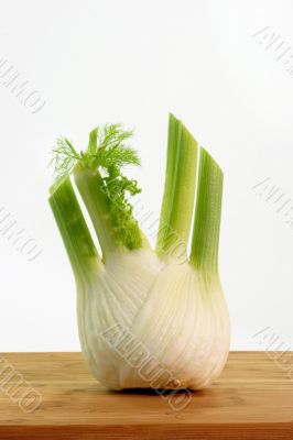 Fresh fennel