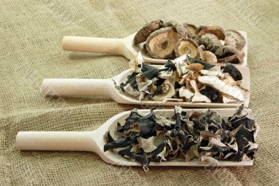 Dry Mushrooms