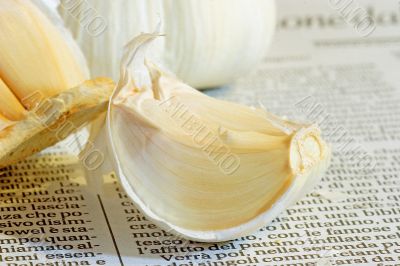 Garlic Bulb