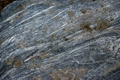 Lichen &amp; moss on striated boulder