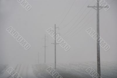 Telephone poles on road to nowhere