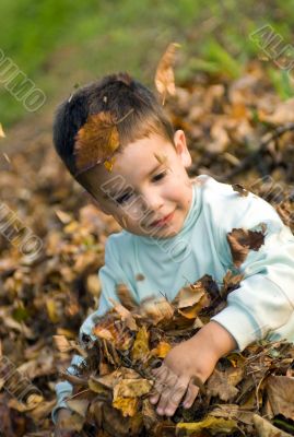 Playing in the leaves Playing in the leaves
