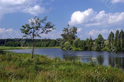 Scenic River Scenic River
