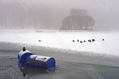 Winter landscape Winter landscape