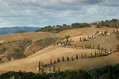 Road in Tuscany