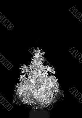 Silver tree Silver tree