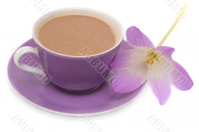 The lilac flower and cup from coffee