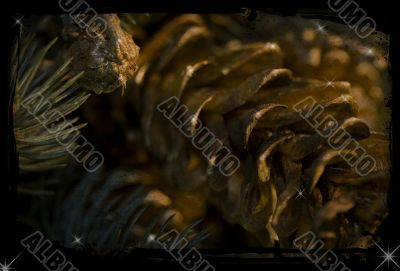 cone Christmas postcard