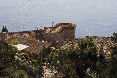Settlement on the coast