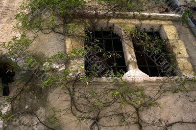 Nice window