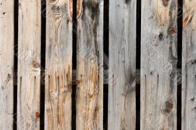 Colorful natural wooden planks