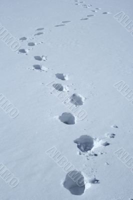 Footprints in the snow