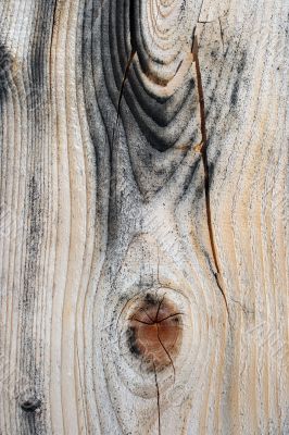 Beautiful cracked wood texture