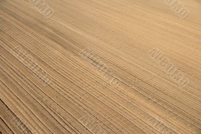 Ploughed land ready for cultivation