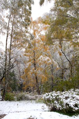 Winter came to town Winter came to town