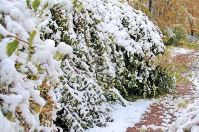Winter came to town Winter came to town