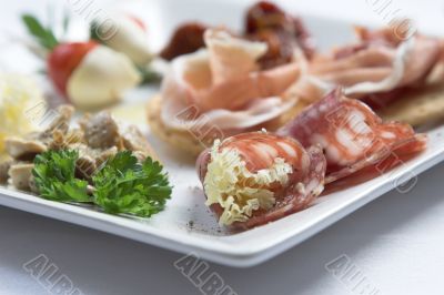 Anti pasti plate