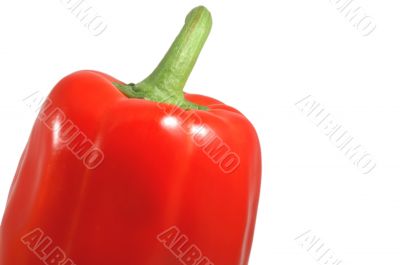 Isolated paprica Isolated paprica