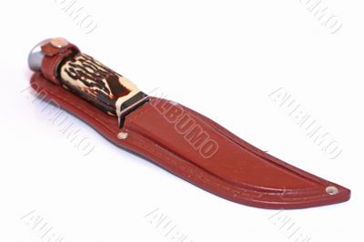 Knife in the sheath Knife in the sheath