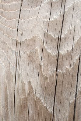 Wavy cracked wood texture