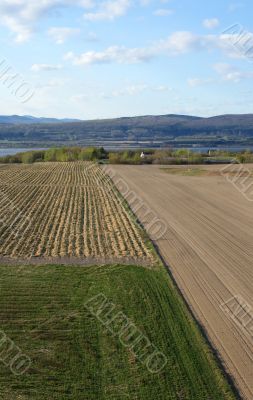 Cultivated farmland in spring