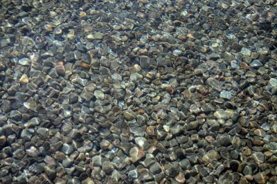 Pebbly bottom seen through transparent water