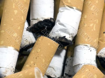 Cigarette butts