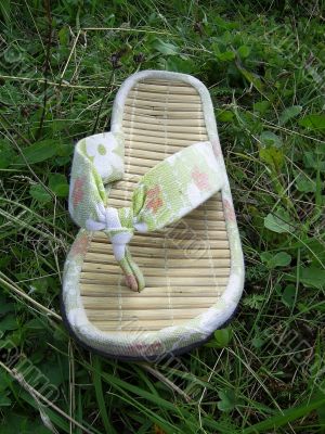 Summer Flip-flops isolated on green herb