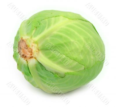 cabbage head