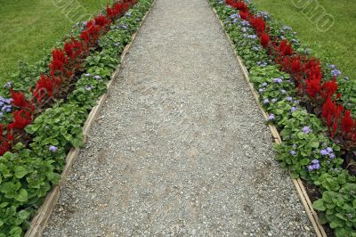 Gravel path surrounded by flowers