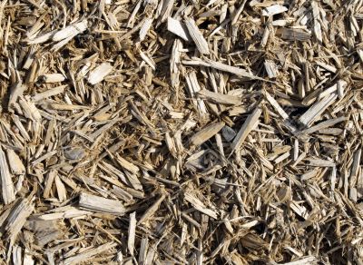 Sawdust background Sawdust background