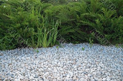 White pebble and green bushes White pebble and green bushes