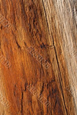 Warm orange color of wood