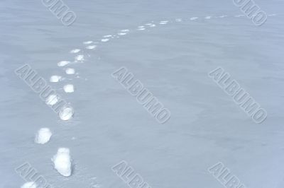 Footprints path in the snow