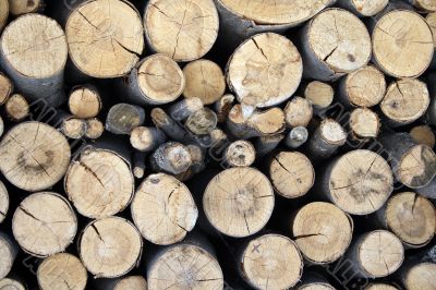 Pile of firewood Pile of firewood