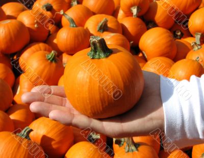 Ready for Halloween Ready for Halloween