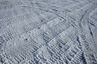 Vehicle tracks crossing the snowy terrain