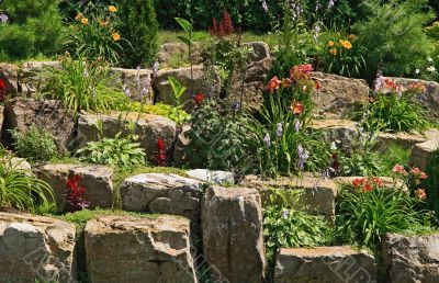 Flowering garden on stones Flowering garden on stones