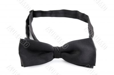 Black bow tie for a special occasion