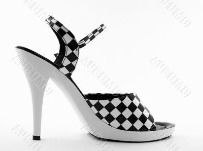 Sexy high heel shoe