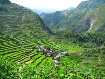 The Rice Terraces Village of Batad