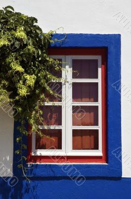 Red window
