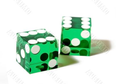 green dices on white