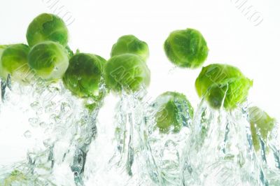 Brussels sprouts Brussels sprouts