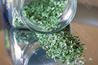 Pot of italian herbs spilled over Pot of italian herbs spilled over