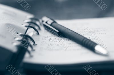 Organizer and pen